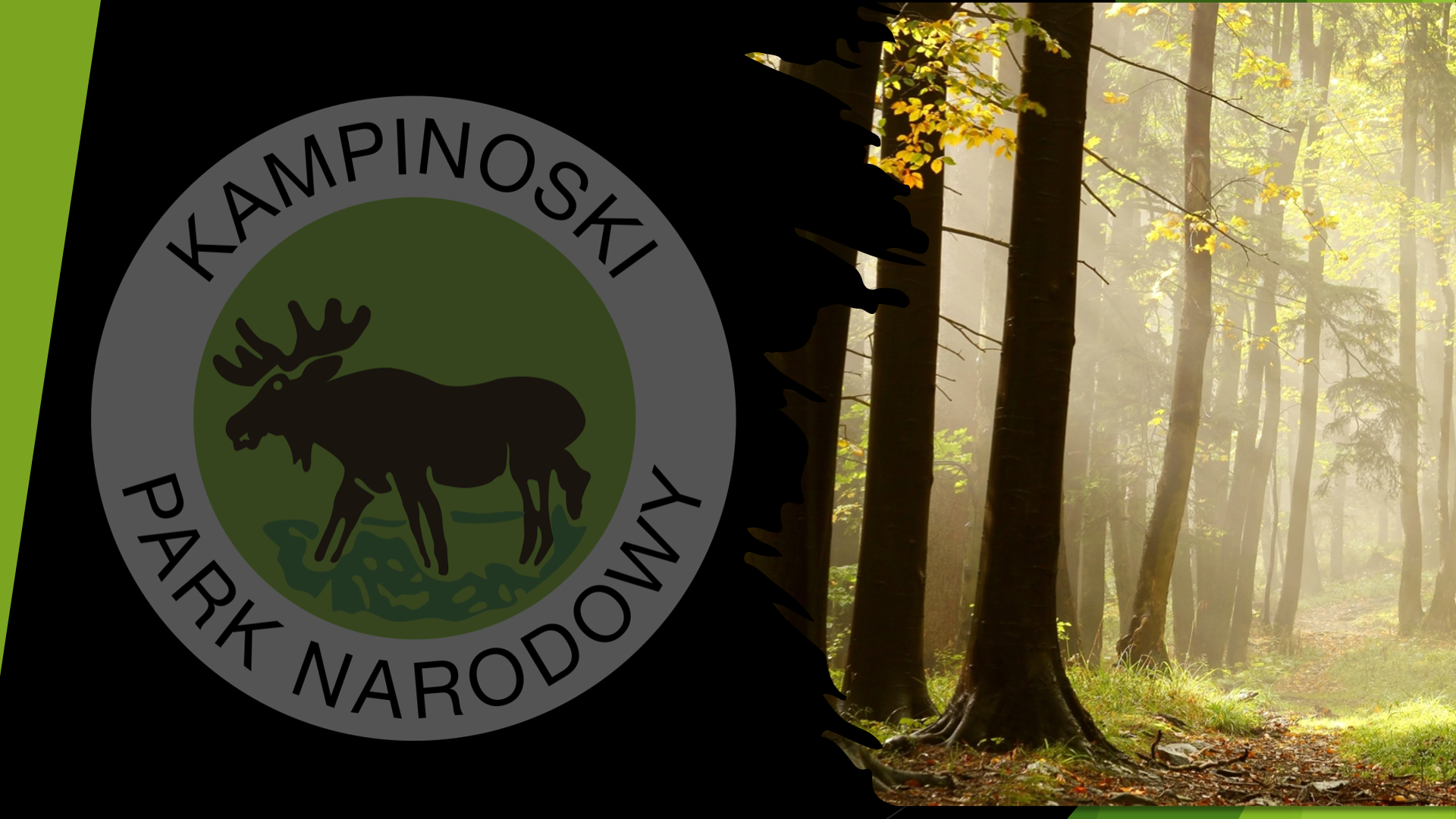 Na zdjęciu widać logo parku przedstawiające łosia na tle drzew oraz napis Kampinoski Park Narodowy.